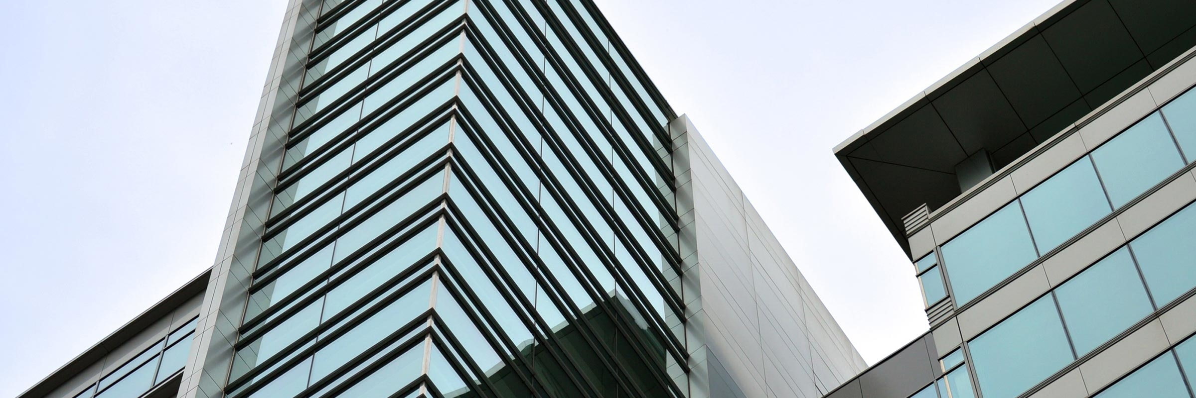 EZB: Wir bleiben noch lange auf den Märkten präsent