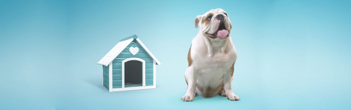 Unsere neuen TV-Spots